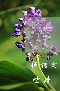 征信逾期會(huì)影響考編制嗎？哪些情況會(huì)過(guò)不了政審?